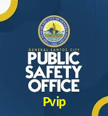 Explore as vantagens do Pvip: serviço profissional e confiabilidade